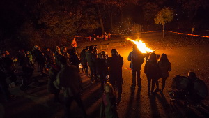 feuer